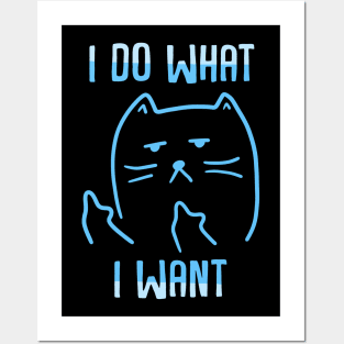 I Do What I Want Posters and Art